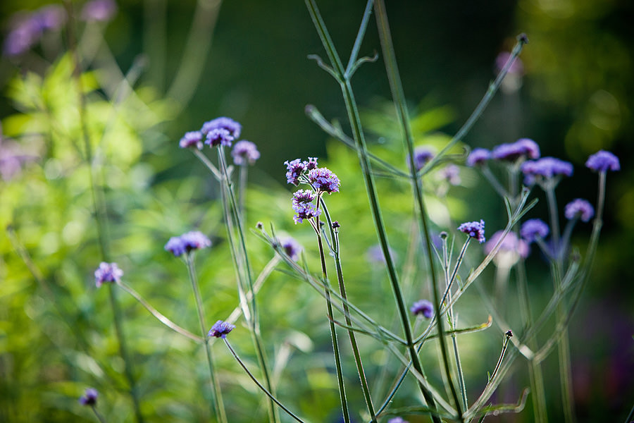 AD_BLOG_37